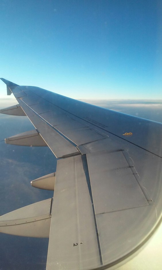 20160125_041453.jpg