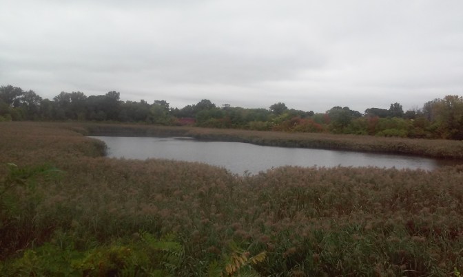 20141001_122455