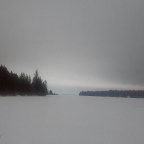 Frozen lake and a bison buger