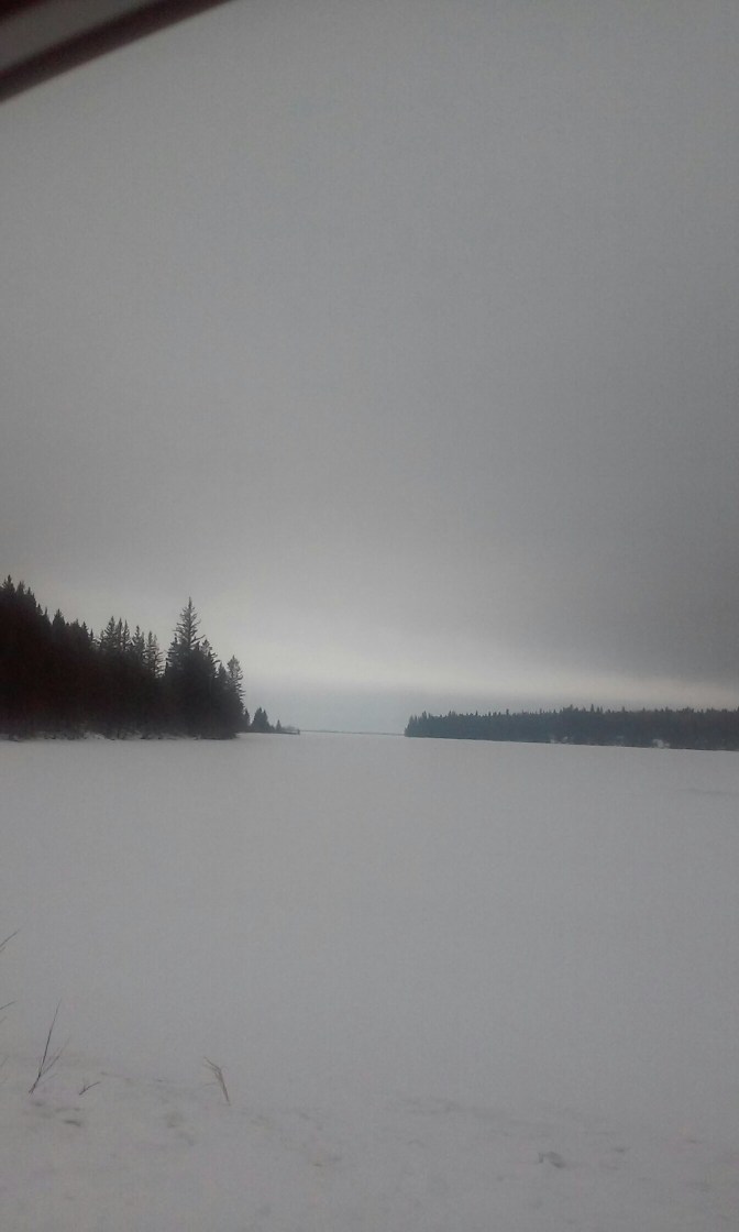 20160131_113510.jpg image