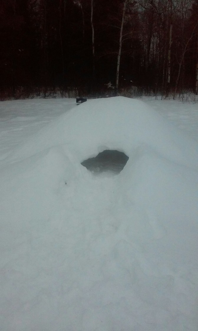 20160131_120106.jpg image
