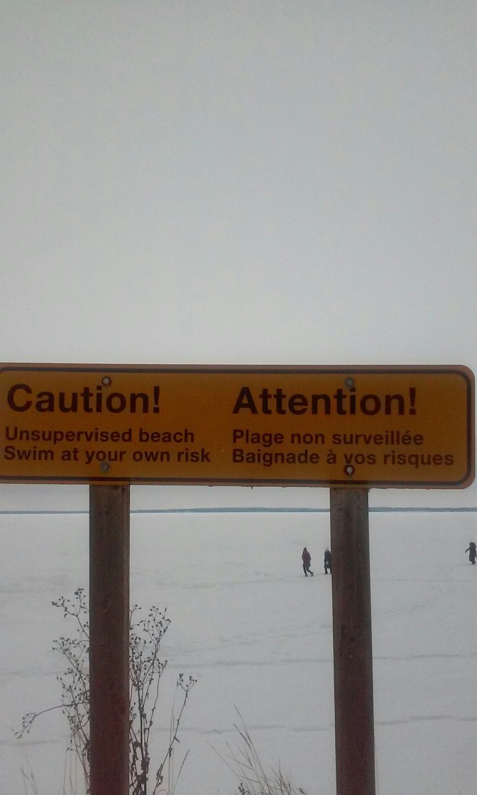 20160131_120136.jpg image