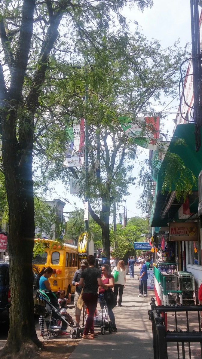 20160602_105245_HDR.jpg image