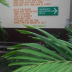 This Jamaican hostel is “interesting”