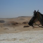 Arriving to Giza