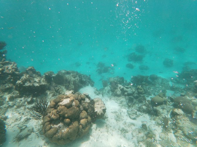 gopr00397638752335306375836.jpg
