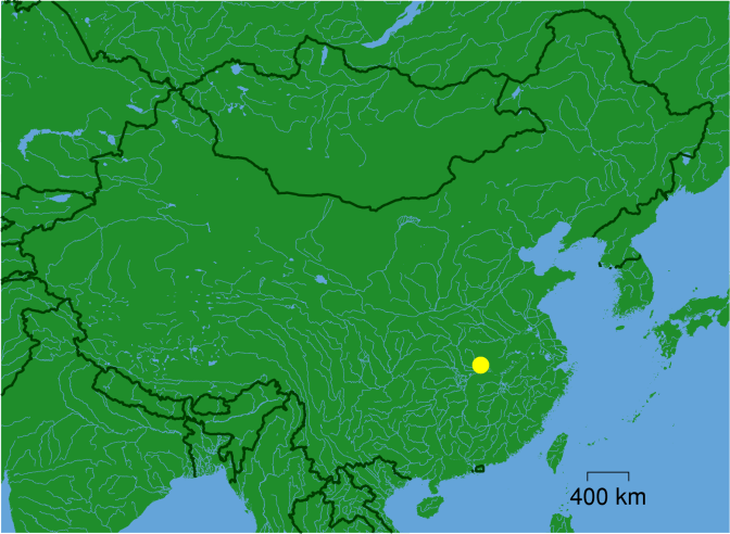 Wuhan_dot