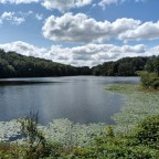 Enjoying the end of summer at Rockefeller Lake, Upstate New York