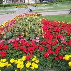Taking a breather at St. Patrick’s Park