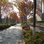 An Inside look of Wuhan, China pre-coronavirus: On the journey to find the yellow crane tower