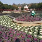 Wuhan, China pre-coronavirus: On the journey to find the yellow crane tower part 2