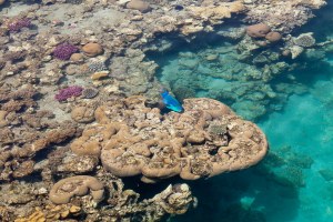 things to do in Israel