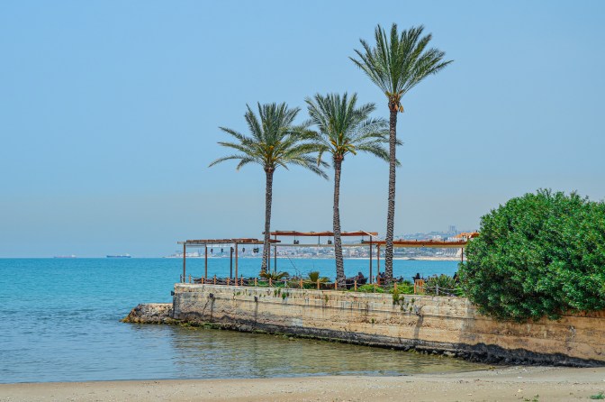 palm-trees-5162018_1920.jpg