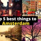 Top 5 best things to do in amsterdam